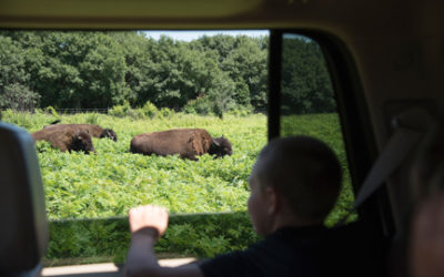 Millions Of Public Acres Across Minnesota – This Land Really Is Your Land!