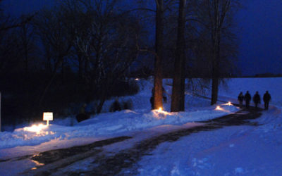 Winter Light From Above And Below