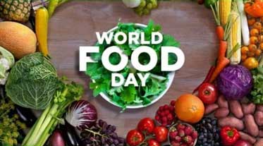 Greater Twin Cities United Way Awards $250,000 In Grants To Support North Minneapolis Food System Timed With United Nations’ World Food Day