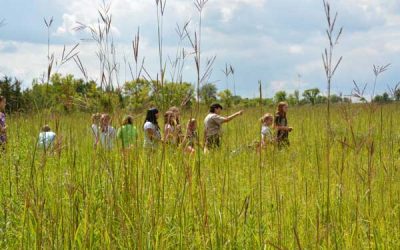 Introducing Afton State Park Staff: Linda Radimecky